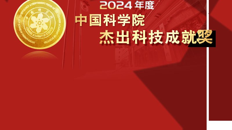 企业级搜索工具：如何选择合适的解决方案**