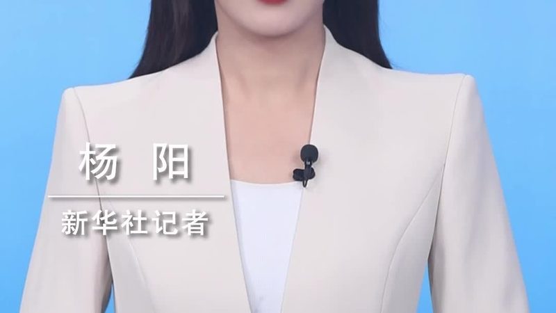 定制化与标准化：教育机构数字化解决方案的差异化选择**
